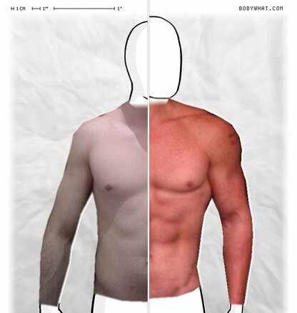 Torso Comparison
