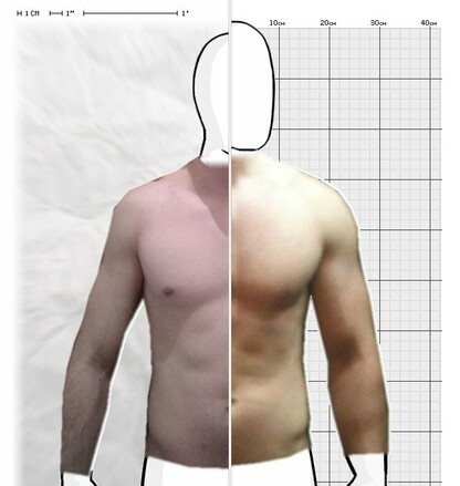 Torso Comparison