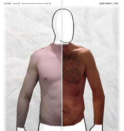 Torso Comparison