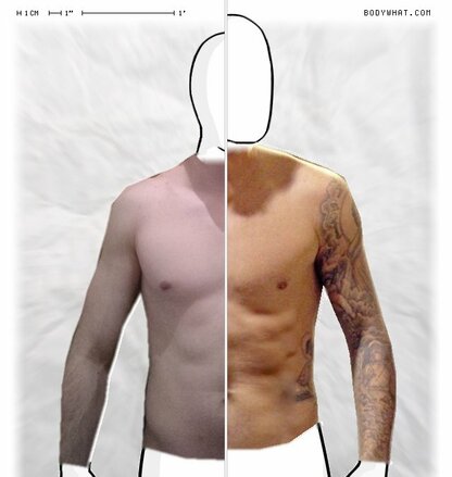 Torso Comparison