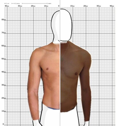 Torso Comparison