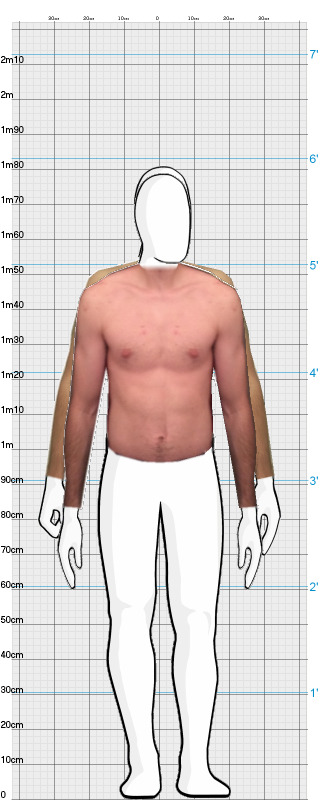 Full Size Comparison