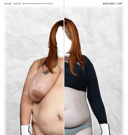 Torso Comparison