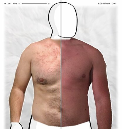 Torso Comparison