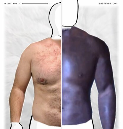 Torso Comparison