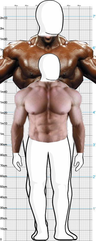 Full Size Comparison