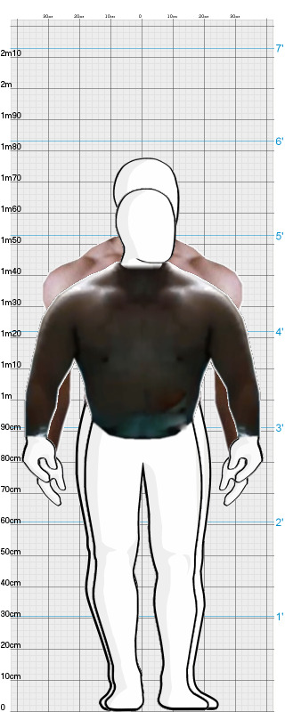 Full Size Comparison