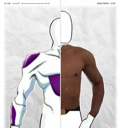 Torso Comparison