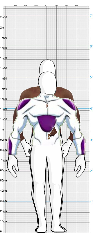 Full Size Comparison