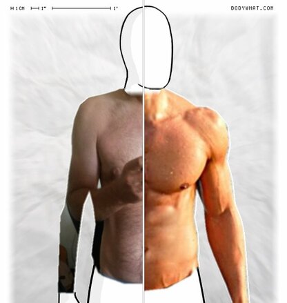 Torso Comparison