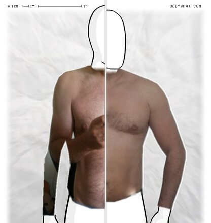 Torso Comparison