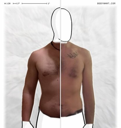 Torso Comparison
