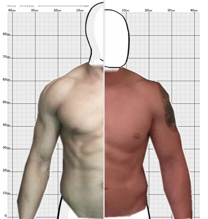 Torso Comparison