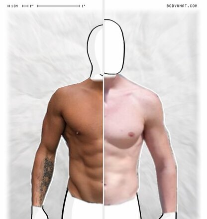 Torso Comparison