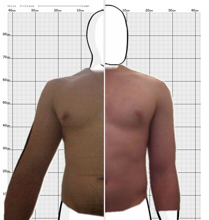 Torso Comparison