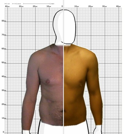 Torso Comparison