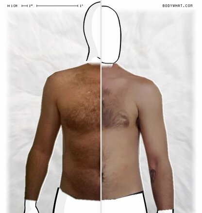 Torso Comparison