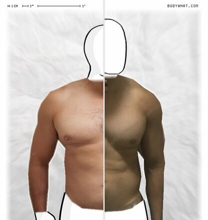 Torso Comparison