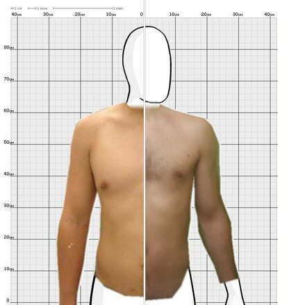 Torso Comparison