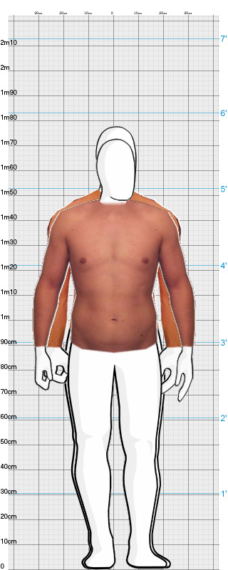 Full Size Comparison