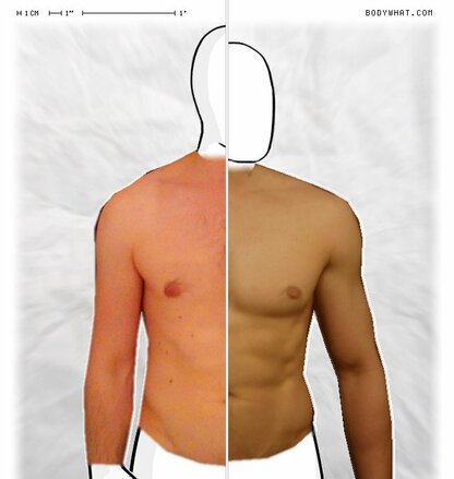 Torso Comparison