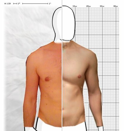 Torso Comparison