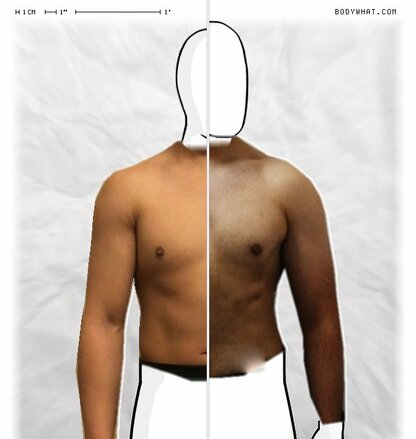 Torso Comparison