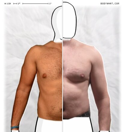 Torso Comparison