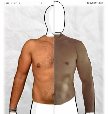 Torso Comparison