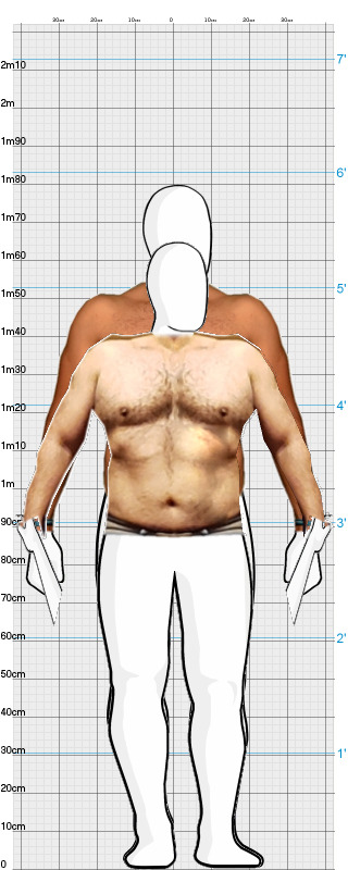 Full Size Comparison