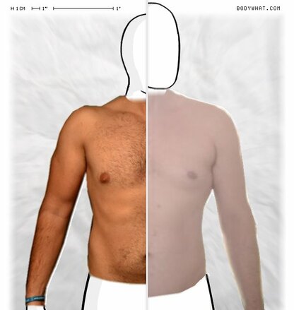 Torso Comparison