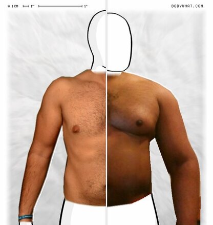 Torso Comparison