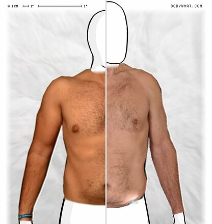 Torso Comparison