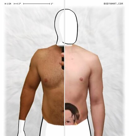 Torso Comparison