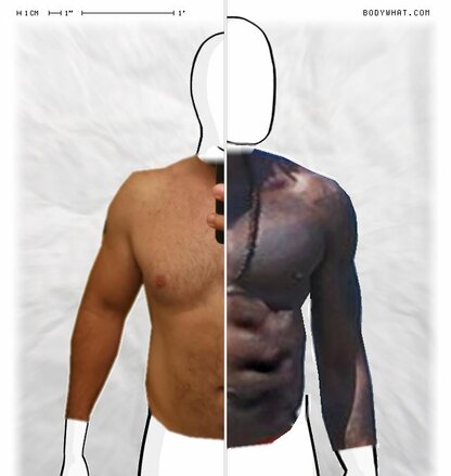 Torso Comparison