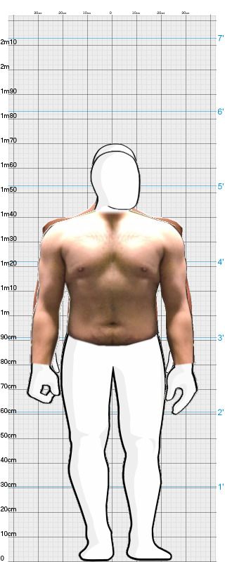 Full Size Comparison