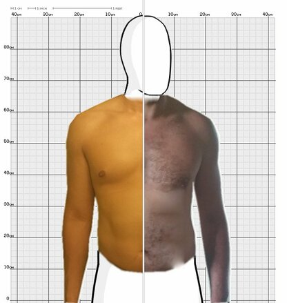 Torso Comparison