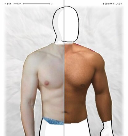Torso Comparison