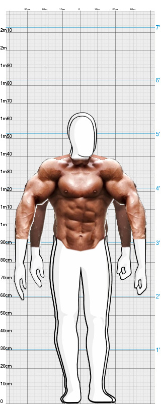 Full Size Comparison