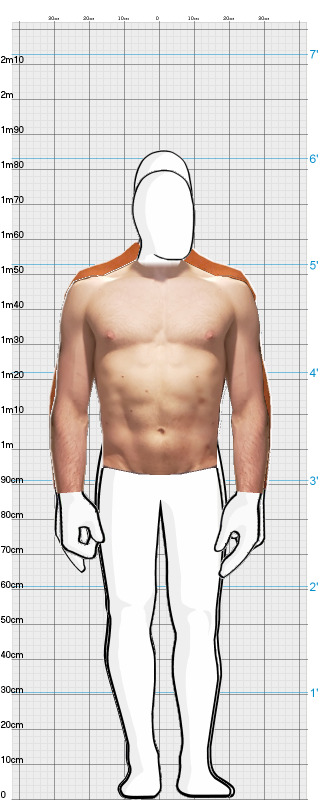 Full Size Comparison