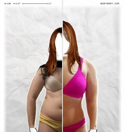Torso Comparison