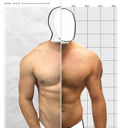 Torso Comparison