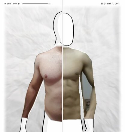 Torso Comparison