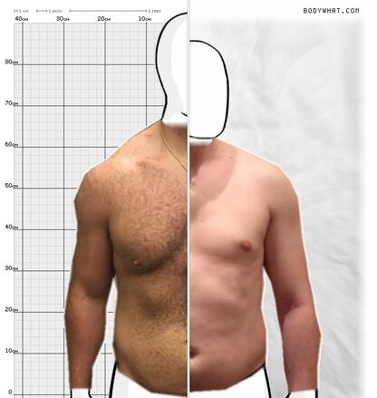 Torso Comparison
