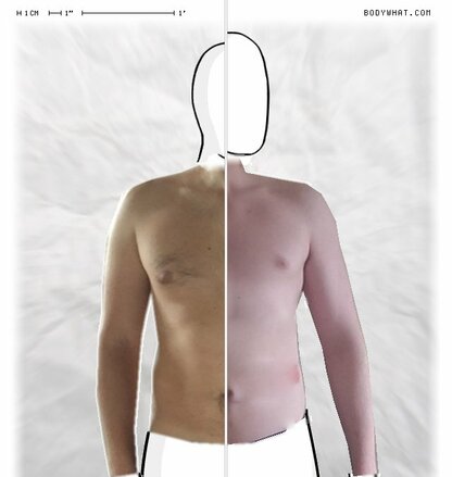 Torso Comparison