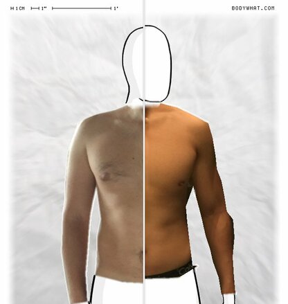 Torso Comparison