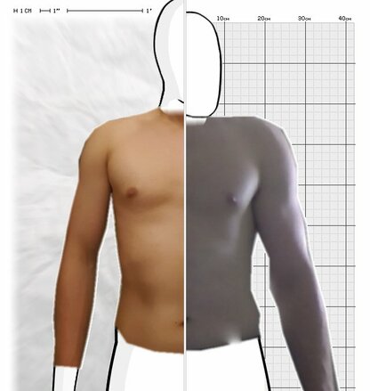 Torso Comparison