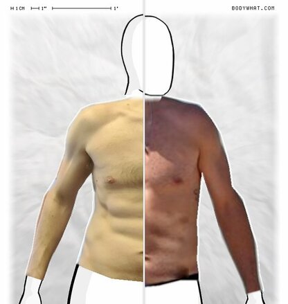 Torso Comparison