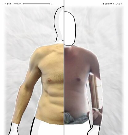 Torso Comparison