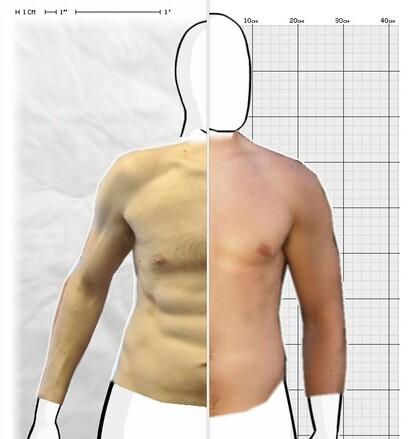 Torso Comparison